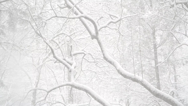 Stanley Creek Snowfall